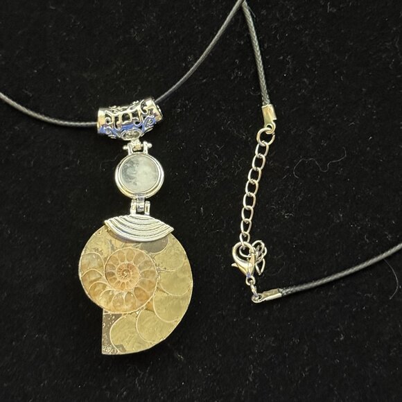 Ammonite Fossil Shell Pendant Necklace Leather Strap - Picture 4 of 6